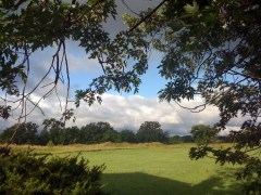 Enjoy the beautiful things in life.