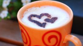 From Google Images I don't know - does this orange cup make my hips look big?