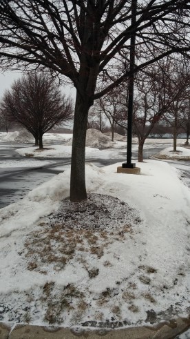 Drab, dreary and cold... this is what greeted me as Rock-a-Hula came on.  Maybe in six months or so, Mr. Presley