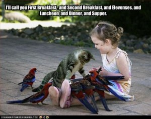 Evil cute cat. Better than Hobbits (just don't tell D).