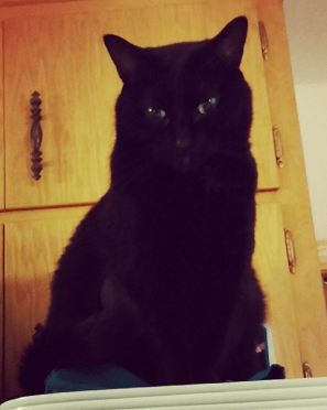 The Goddess Herself: Isis